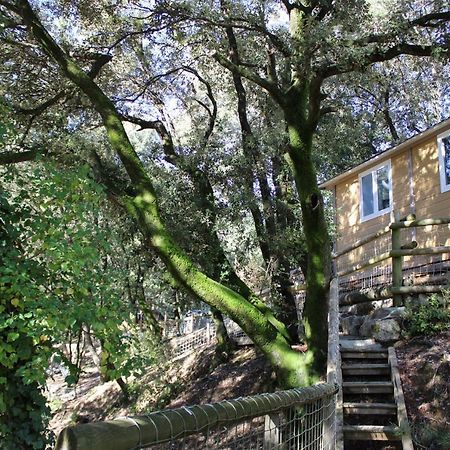 La Barriére Le Domaine Du Naizadou Chalet Lou Grilh 빌라 외부 사진