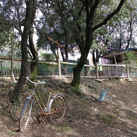 La Barriére Le Domaine Du Naizadou Chalet Lou Grilh 빌라 외부 사진