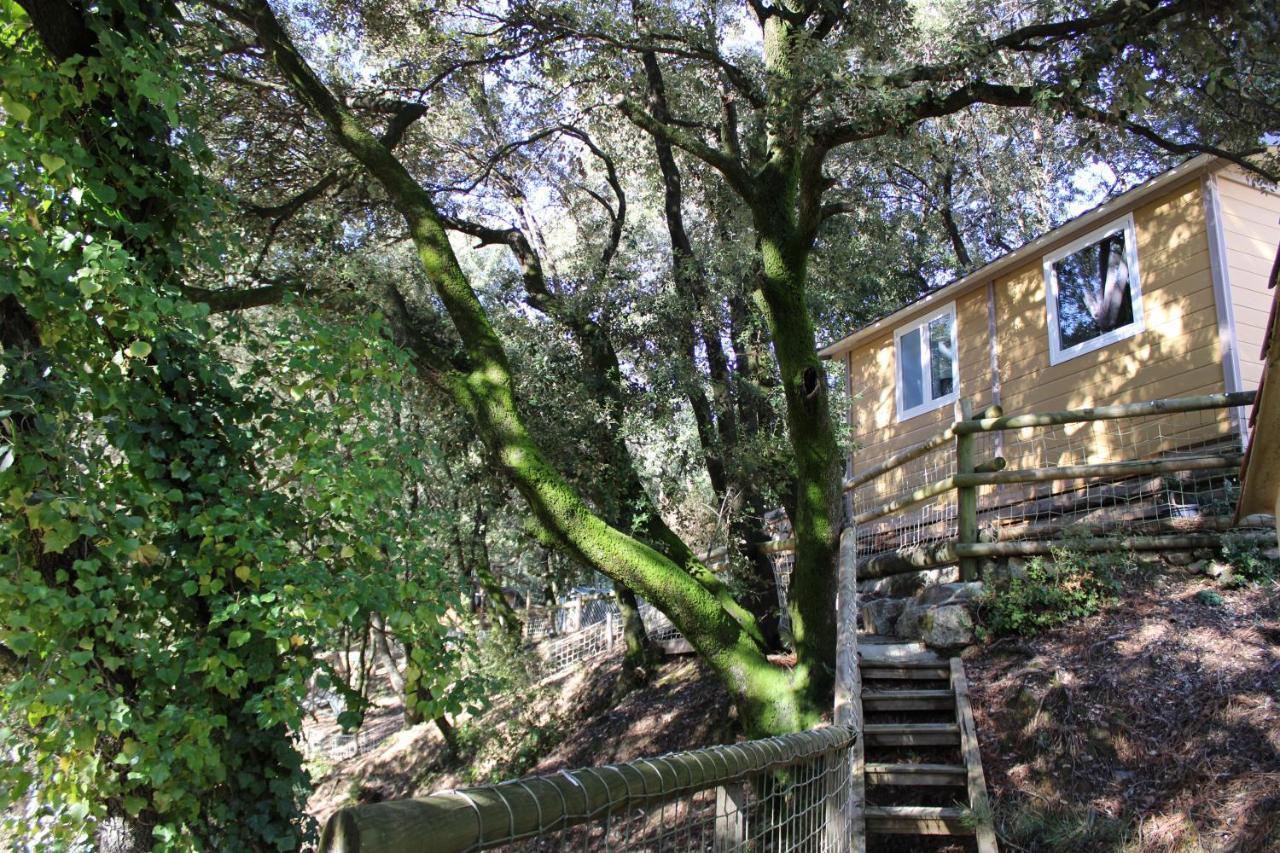 La Barriére Le Domaine Du Naizadou Chalet Lou Grilh 빌라 외부 사진
