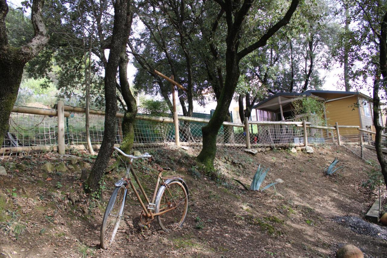 La Barriére Le Domaine Du Naizadou Chalet Lou Grilh 빌라 외부 사진