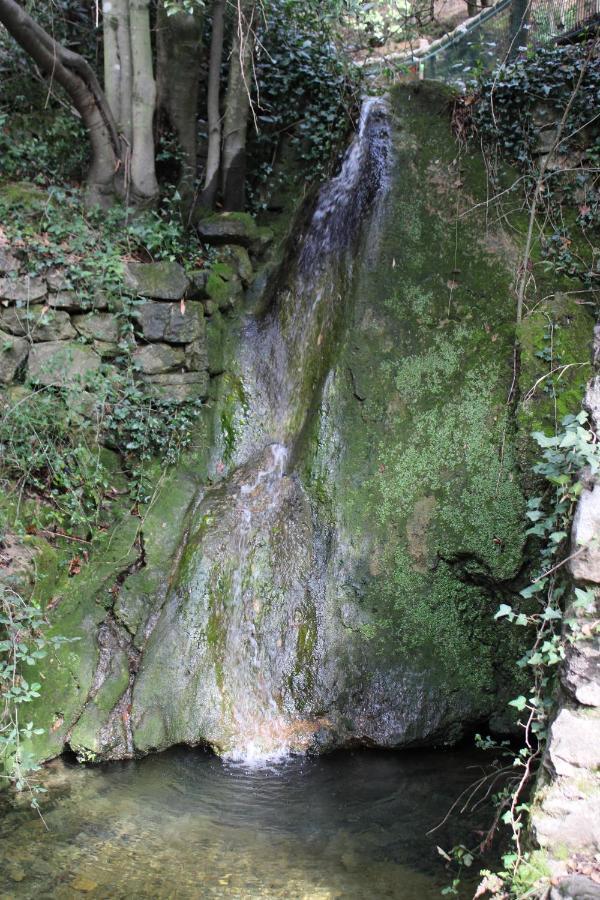 La Barriére Le Domaine Du Naizadou Chalet Lou Grilh 빌라 외부 사진