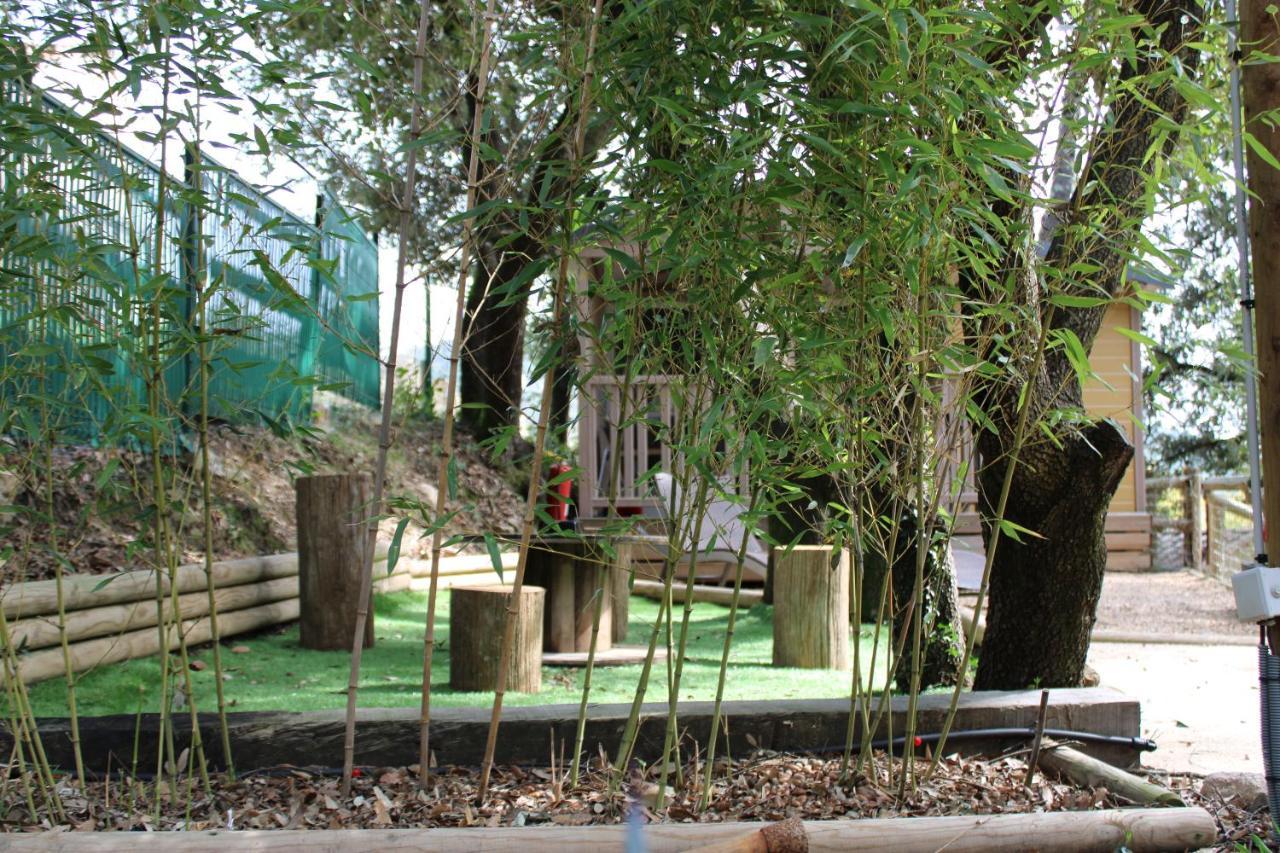 La Barriére Le Domaine Du Naizadou Chalet Lou Grilh 빌라 외부 사진